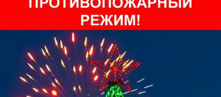 В республике будет введен особый противопожарный режим на период новогодних праздников