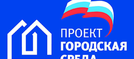 Проект Городская Среда в  2017 году