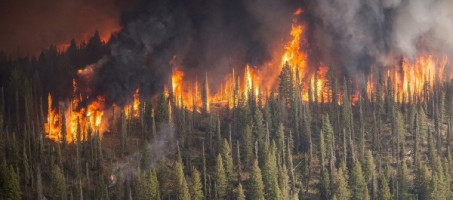 В республике сохраняется чрезвычайная пожароопасность