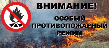 В республике введен особый противопожарный режим