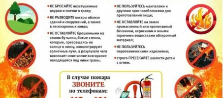 Лесные пожары
