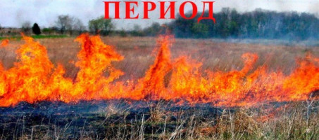 ОСЕНЬ – прекрасная пора заняться уборкой садовых участков